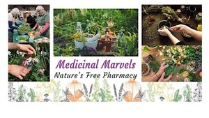 LAST CHANCE: Wild Medicinal Workshop for Women