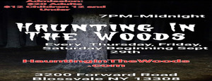 Haunting In The Woods