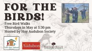 From Point A to Point B:  Bird Migration