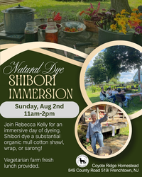 Natural Dye Retreat: Shibori Immerson