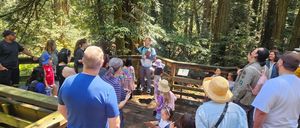 Family Nature Adventures: Birds