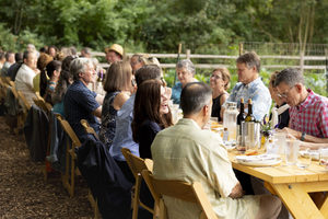 The Seasonal Table: Surrell
