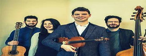 Shane Cook and the Woodchippers'