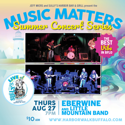 Music Matters Summer Concert Series: Eberwine and The Little Mountain Band