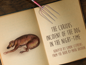 The Curious Incident of the Dog in the Night-Time - opens June 12