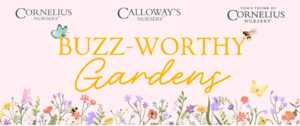 Buzz-Worthy Pollinator Gardens