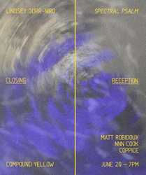 Side Yard Sounds: Matt Robidoux / Coppice / NNN Cook