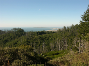 Marin 250 Years Ago: First Peoples of Marin