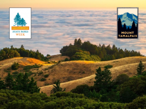 Mt. Tam State Park: Nourish Your Health & Well-Being