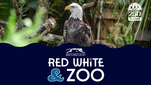 Red White & Zoo
