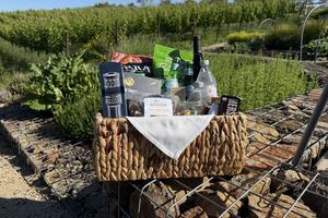 Napa's Perseid Experience at The Meritage Resort and Spa