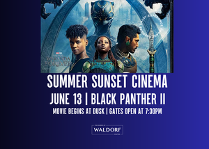 THE SHOPS AT WALDORF CENTER  FREE SCREENING OF ‘BLACK PANTHER: WAKANDA FOREVER’