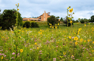 Wisdom Prairie Summer Tour