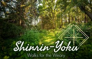 Shinrin-Yoku: Walks for the Weary