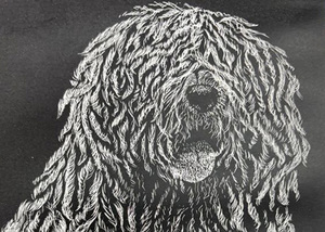 Drawing with Donna: 6 Thursdays, June 18-July 23