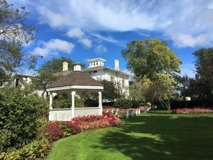 Sketch, Draw, Paint: Summer Floral Design Workshop