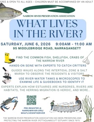 What Lives In the River?