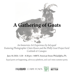 A Gathering of Goats: An Immersive Evening
