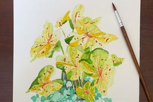 Tropical Plants: Watercolor Workshop at the Botanical Gardens | August 20, 5:30-8:30pm