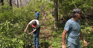Stern Preserve Trail Work