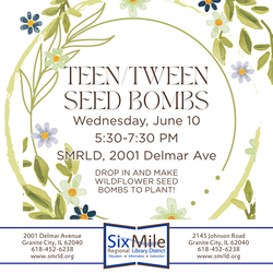 Teen/Tween Seed Bombs