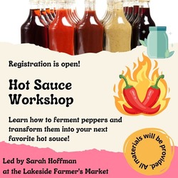 Hot Sauce Workshop