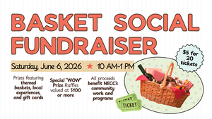 Basket Social Tricky Tray-- Disney Gift Cards, Kalahari Prizes and more!