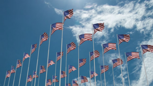 Flags in Central Park