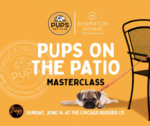 Pups on the Patio: Patio Etiquette Class for Dogs