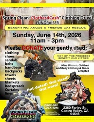 Angus & Friends Cat Rescue: Clothing Drive Fundraiser! June 14, 2026 in Castro Valley