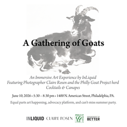 A Gathering of Goats: An Immersive Evening