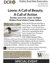 Loons: A Call of Beauty, A Call of Action
