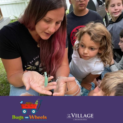 Bugs on Wheels - Thursdays