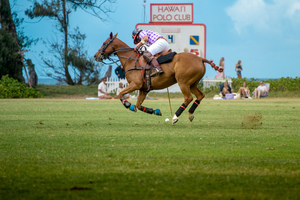 Polo on the North Shore — Father’s Day Appreciation Day