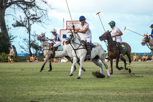 Polo Sundays on the North Shore — Clive Cup