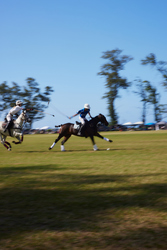 Polo Sundays on the North Shore — Dawson Memorial