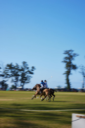 Polo Sundays on the North Shore — Al Lopaka Day