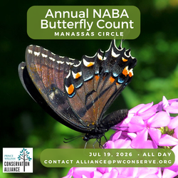 2026 NABA Butterfly Count