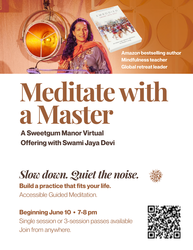 Embodied Resilience: A Virtual Meditation Practice for the Inner Heart