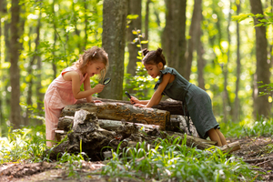 Outdoor & Nature Based Learning for Early Learners | Professional Development Workshop