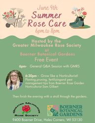 Summer Rose Care