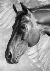 Horse Power Exhibition