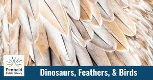 Unearth a Story: Dinosaurs, Feathers, & Birds