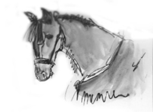 Drawing Horses from Life with Victoria Brzustowicz