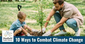 Unearth a Story with CCE: Ten Ways to Combat Climate Change (virtual)