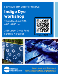 Indigo Dye Workshop at Fairview Farm!
