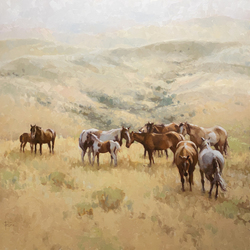 Horse Power