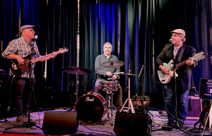 Dave Nachmanoff & The Usual Culprits | Live Concert in Woodland CA