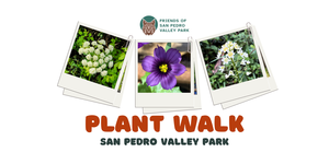 Plant Walk in San Pedro Valley Park - Easy