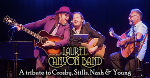Crosby, Stills, Nash & Young Tribute